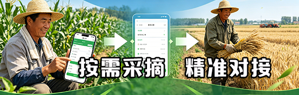 采购商货车下单：主动发布采购需求，简化分散采购，高效提交订单